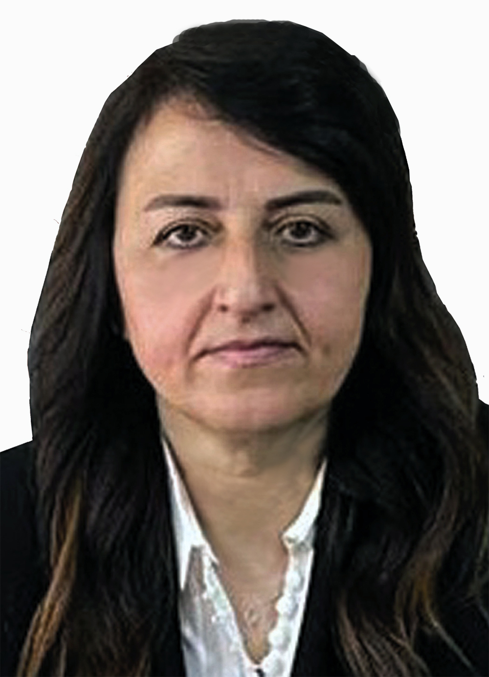 Ayşegül Sarıgül