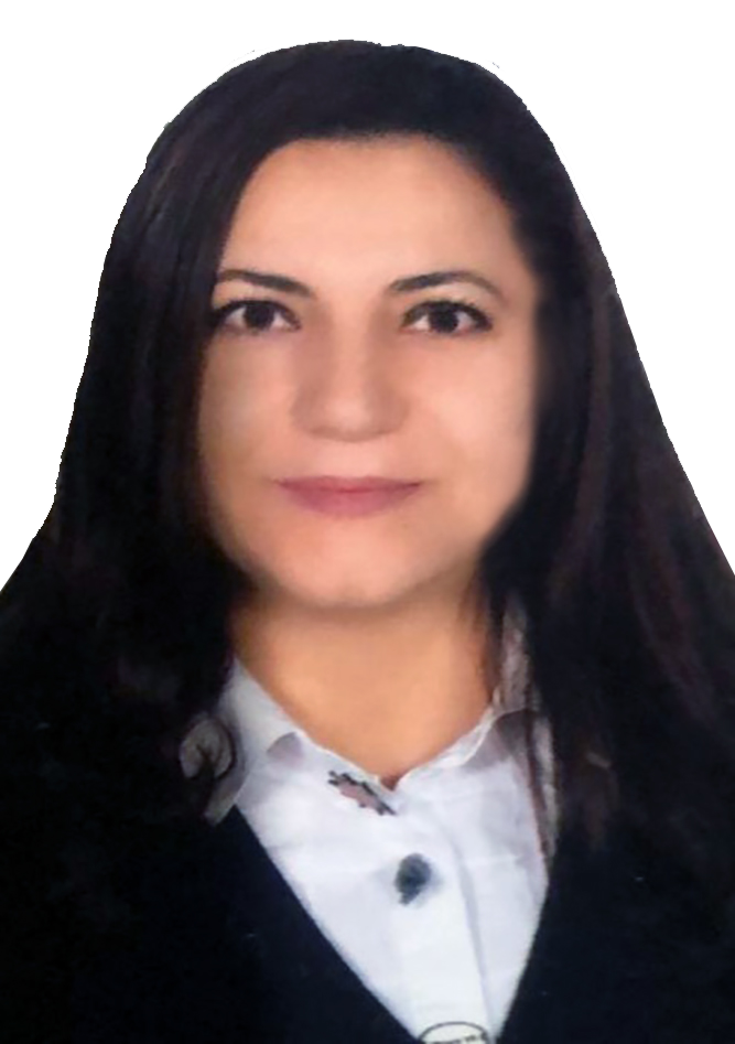 Filiz Demli