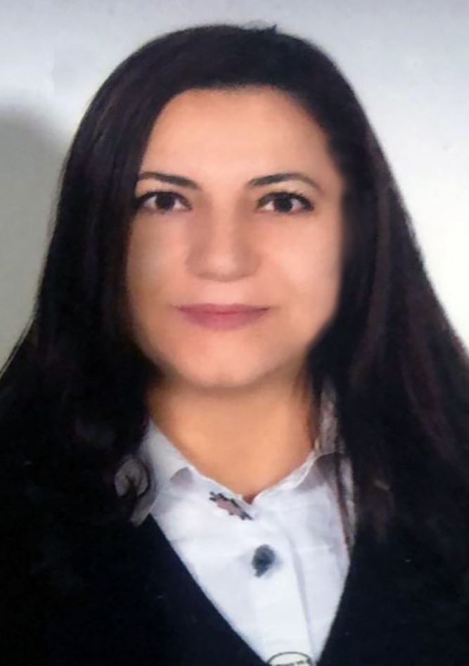 Filiz Demli